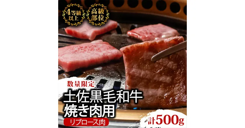 【ふるさと納税】 土佐 黒毛 和牛 焼肉用 500g | 特撰 リブロース ロース 最上位等級 A4 A5 最高ランク 贅沢 焼き肉 やきにく 小分け 冷凍 国産 ブランド 和牛 牛肉 大人気 ギフト おすすめ ランキング おいしい 限定 BBQキャンプ アウトドア 高知県 須崎 TM009