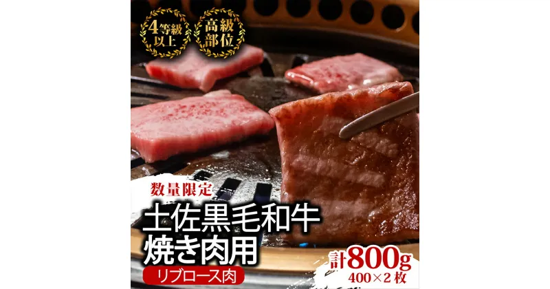 【ふるさと納税】 土佐 黒毛 和牛 焼肉用 800g （ 400g × 2パック ） | 特撰 リブロース ロース 最上位等級 A4 A5 最高ランク 贅沢 焼き肉 やきにく 小分け 冷凍 国産 ブランド 牛肉 大人気 ギフト おすすめ ランキング BBQ バーベキュー アウトドア 高知県 須崎 TM016