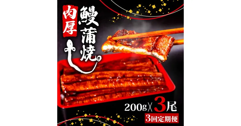 【ふるさと納税】 【3ヶ月連続定期便】うなぎ 蒲焼 肉厚 養殖 鰻 200g×3尾 セット ( 頭付き 鰻 手焼き 蒲焼 タレ付き うなぎ蒲焼き 鰻蒲焼 台湾産 養殖鰻 養殖うなぎ 冷凍 惣菜 真空パック 簡単調理 高知県 須崎市 3回 定期便 )ME11000