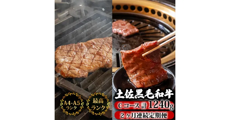 【ふるさと納税】 【2回定期便】土佐黒毛和牛 食べ比べ 1240g (計1.2kg以上) | Cコース 厳選 国産 和牛 ステーキ 焼き肉 お肉 霜降り 牛肉 モモ肉 もも肉 サーロイン 人気 贈答 ギフト プレゼント 小分け 数量限定 2ヵ月 頒布会 老舗 たけうちミート 高知県 須崎市 TM5000