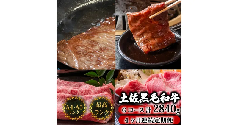 【ふるさと納税】 【4回定期便】土佐黒毛和牛 食べ比べ 2840g (計2.8kg以上) | Gコース 厳選 国産 和牛 すき焼き しゃぶしゃぶ ステーキ 焼き肉 お肉 霜降り 牛肉 ウデ肉 モモ肉 サーロイン 人気 小分け 数量限定 4ヵ月 頒布会 老舗 たけうちミート 高知県 須崎市 TM9000