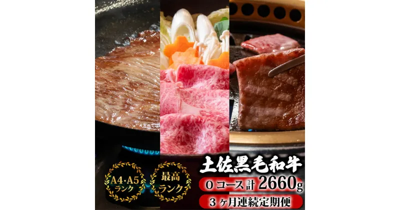 【ふるさと納税】 【3回定期便】土佐黒毛和牛 食べ比べ 2660g (計2kg以上) | Oコース 厳選 国産 和牛 すき焼き ステーキ 焼き肉 お肉 霜降り 牛肉 ウデ肉 サーロイン リブロース 人気 小分け 数量限定 3ヵ月 頒布会 老舗 たけうちミート 高知県 須崎市 TM17000