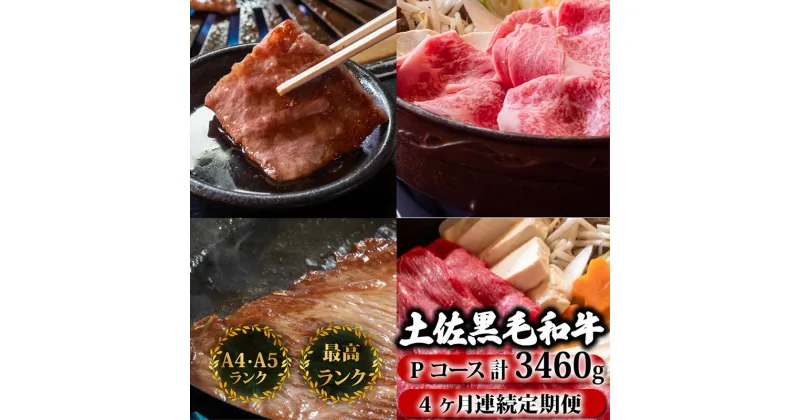 【ふるさと納税】 【4回定期便】土佐黒毛和牛 食べ比べ 3460g (計3kg以上) | Pコース 厳選 国産 和牛 すき焼き しゃぶしゃぶ ステーキ 焼き肉 お肉 霜降り 牛肉 ウデ モモ肉 サーロイン リブロース 小分け 数量限定 4ヵ月 頒布会 老舗 たけうちミート 高知県 須崎市 TM18000