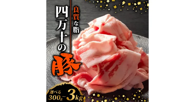 【ふるさと納税】 四万十ポークスライス 300g~3kg | 300g ごとの小分け 豚肉 豚バラ肉 小間切れ スライス 切り落とし 訳アリ 訳あり 冷凍 真空パック 簡単調理 細切れ 大容量 肉 高知県 須崎市