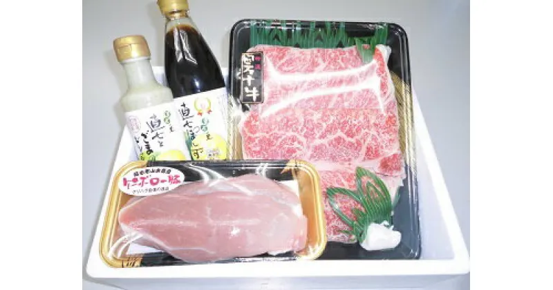 【ふるさと納税】宿毛特産品直七胡麻ドレッシングと牛肉、豚肉のセット