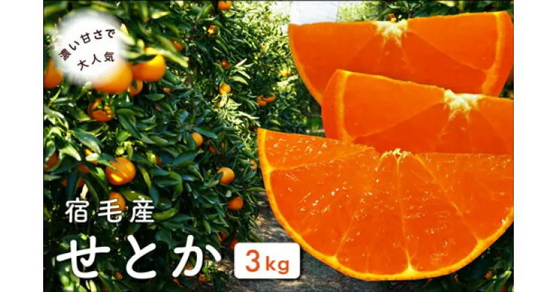 【ふるさと納税】宿毛産せとか3kg