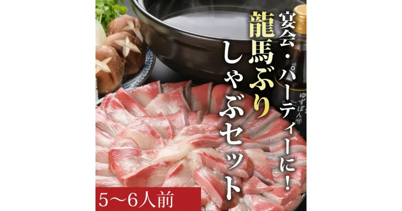 【ふるさと納税】龍馬ぶりしゃぶ5〜6人前セット