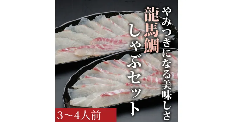 【ふるさと納税】龍馬鯛しゃぶ3〜4人前セット