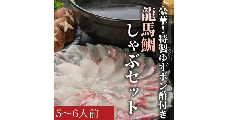 【ふるさと納税】龍馬鯛しゃぶ5〜6人前セット