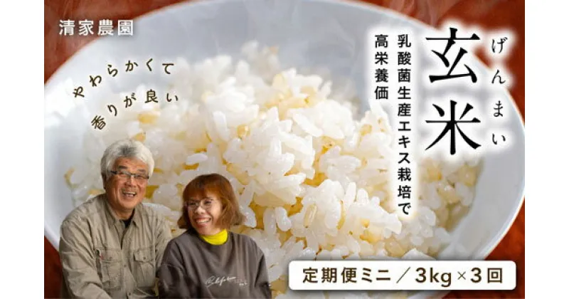 【ふるさと納税】【定期便ミニ】酵素が3.9倍！「乳酸菌生産エキス栽培」玄米3kg×3回お届け