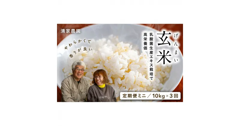 【ふるさと納税】【定期便ミニ】酵素が3.9倍！「乳酸菌生産エキス栽培」玄米10kg×3回お届け