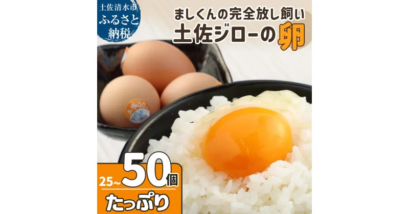 【ふるさと納税】ましくんの完全放し飼い土佐ジローの卵 選べる内容量 25個 50個 もみ殻梱包 ブランド卵 タマゴ 玉子 たまご 生卵 鶏卵 土佐地鶏 濃厚 新鮮 食品 プレゼント ギフト 送料無料 故郷納税 高知県 土佐清水市 送料無料 高知【R00443】