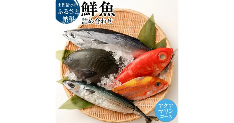 【ふるさと納税】おまかせ！季節の鮮魚 お楽しみセット（アクアマリンコース）鮮魚ボックス 天然魚 食べ比べ 魚介類 海鮮料理 お楽しみ セット 詰め合わせ 鮮魚 魚 お刺身 刺し身 煮付け 15000円 ふるさとのうぜい 故郷納税 返礼品 高知 土佐清水市 【R01094】