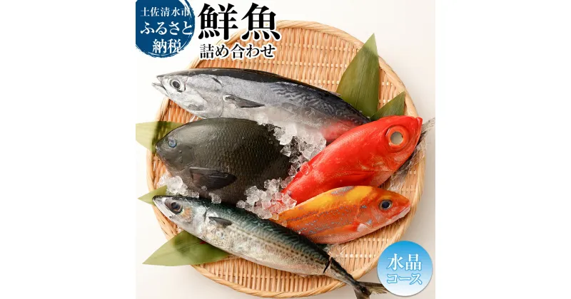 【ふるさと納税】おまかせ！季節の鮮魚 お楽しみセット（2万円水晶コース） 鮮魚ボックス 天然魚 食べ比べ 魚介類 海鮮料理 詰め合わせ セット 鮮魚 お楽しみ おまかせ 新鮮 魚 季節の魚 刺し身 お刺身 煮付け 美味しい 20000円 故郷納税 返礼品 高知 土佐清水市【R01215】