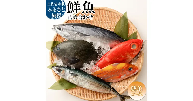 【ふるさと納税】おまかせ！季節の鮮魚 お楽しみセット（琥珀コース）鮮魚ボックス 天然魚 食べ比べ 魚介類 海鮮料理 詰め合わせ セット 鮮魚 お楽しみ おまかせ 新鮮 魚 季節の魚 刺し身 お刺身 煮付け 美味しい ふるさとのうぜい 故郷納税 高知 土佐清水市 【R01096】