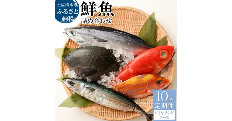 【ふるさと納税】＜10回定期便＞ 季節の鮮魚 おまかせお楽しみセット (20万円ダイヤモンドコース) 鮮魚ボックス 天然魚 食べ比べ 魚介類 海鮮料理 魚 鮮魚 新鮮 刺身 お刺身 煮付け ふるさと納税 お楽しみ 定期便 10ヶ月 ふるさとのうぜい 故郷納税 高知 土佐清水 【J00051】