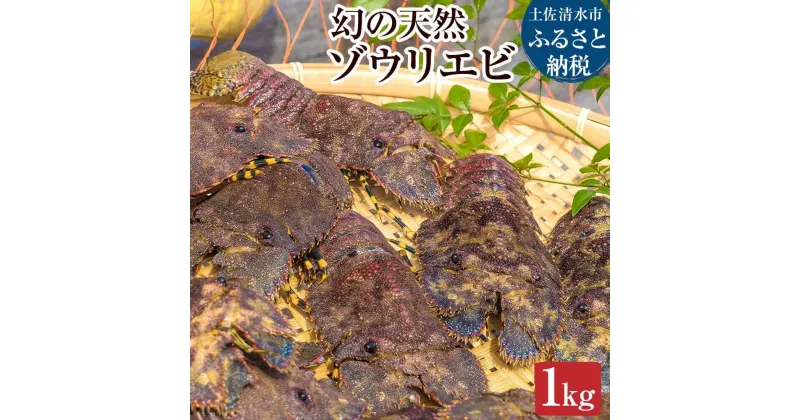 【ふるさと納税】先行予約　幻の天然ゾウリエビ1kg（サイズおまかせ）※着日指定不可※タビエビ 甲殻類 海老 地元ですら流通しない希少セミエビ科 高知県産 エビ ゾウリエビ 冷蔵 配送 賞味期限が短い 新鮮 美味しい 希少 故郷納税 返礼品 土佐清水市 高知【R00620】