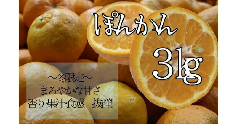 【ふるさと納税】先行予約　早川農園のぽんかん（3kg） デコポンの親 みかん 柑橘 果実 果物 ポンカン ぽんかん くだもの フルーツ デザート スイーツ 柑橘類 おやつ 3キロ 3kg 美味しい 高知県 土佐清水市 送料無料 ギフト ふるさとのうぜい 故郷納税 返礼品【R00095】