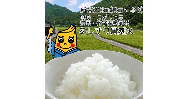 【ふるさと納税】令和6年産 新米 あしずり黒潮米20kg（5kg×4袋）10キログラム 【コシヒカリ】 こしひかり 精米 白米 ブランド米 銘柄米 お米 おコメ 米 こめ ご飯 ごはん おにぎり おいしい 美味しい ギフト 高知県 高知 故郷納税 ふるさとのうぜい 返礼品【R01192】