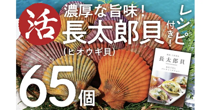 【ふるさと納税】先行受付！生け簀でお届けヒオウギ貝65個セット エアポンプ付（ホタテの仲間）長太郎貝 アウトドア キャンプ 海鮮BBQ 魚貝 刺身 生 貝殻付 活 貝柱 酒蒸し バーベキュー BBQ 貝 海鮮 大量 大容量 ふるさとのうぜい 故郷納税【R00646】