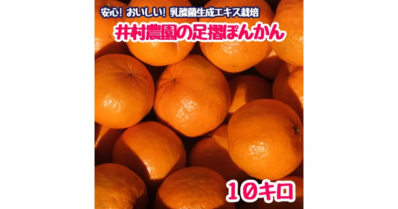 【ふるさと納税】先行予約 井村農園の足摺ぽんかん（10kg）デコポンの親 みかん 柑橘 果物 果実 ミカン ポンカン フルーツ おやつ デザート 10キロ 美味しい おいしい 国産 送料無料 高知 高知県 ギフト ふるさとのうぜい 故郷納税 返礼品【R01133】