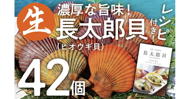 【ふるさと納税】ヒオウギ貝42個セット（ホタテの仲間）長太郎貝 アウトドア キャンプ 海鮮BBQ 魚貝 生 貝殻付 活 貝柱 酒蒸し バーベキュー BBQ 大量 貝 ヒオウギ貝 高知県 土佐清水市 送料無料 ふるさとのうぜい 故郷納税 【R00570】