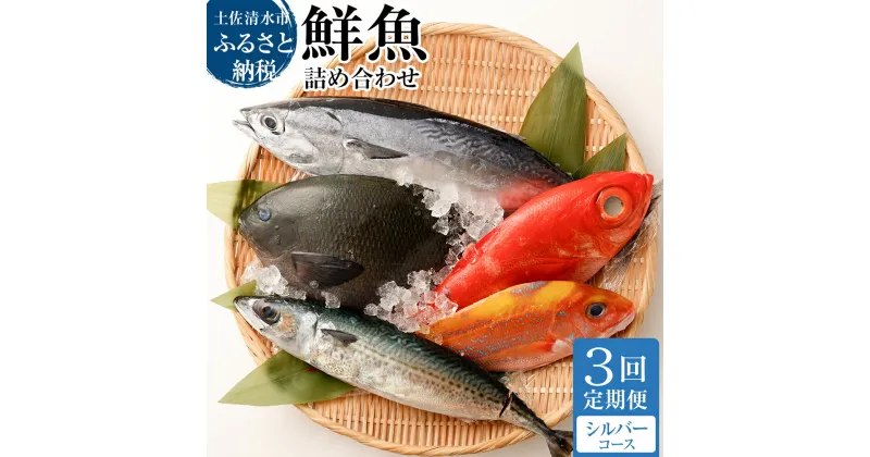 【ふるさと納税】＜3回定期便＞ 季節の鮮魚 おまかせお楽しみセット（シルバーコース）鮮魚ボックス 天然魚 食べ比べ 魚介類 海鮮料理 魚 鮮魚 新鮮 刺し身 お刺身 煮付け ふるさと納税 お楽しみ 定期便 3ヶ月 ふるさとのうぜい 故郷納税 返礼品 高知 土佐清水市【J00034】