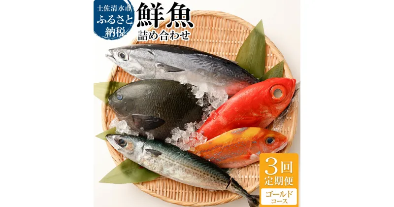 【ふるさと納税】＜3回定期便＞ 季節の鮮魚 おまかせお楽しみセット（ゴールドコース）鮮魚ボックス 天然魚 食べ比べ 魚介類 海鮮料理 魚 鮮魚 新鮮 刺し身 お刺身 煮付け ふるさと納税 お楽しみ 定期便 3ヶ月 ふるさとのうぜい 故郷納税 返礼品 高知 土佐清水市 【J00047】