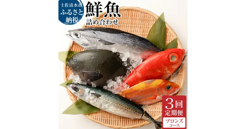 【ふるさと納税】＜3回定期便＞ 季節の鮮魚 おまかせお楽しみセット（ブロンズコース）鮮魚ボックス 天然魚 食べ比べ 魚介類 海鮮料理 魚 鮮魚 新鮮 刺し身 お刺身 煮付け ふるさと納税 お楽しみ 定期便 3ヶ月 ふるさとのうぜい 故郷納税 高知 土佐清水市 【J00023】