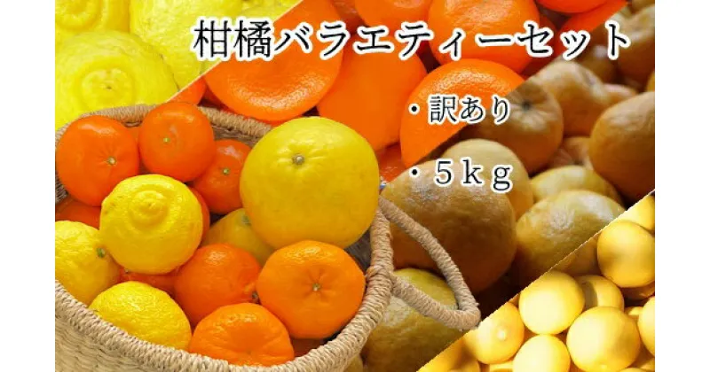 【ふるさと納税】先行予約＜訳あり＞ 柑橘バラエティーセット（5kg） みかん ミカン 果物 果実 フルーツ おやつ デザート 健康 美味しい お楽しみ 詰め合わせ 文旦 ぽんかん はるか 麗紅 10000円 1万円 高知県 高知 土佐清水 故郷納税 ふるさとのうぜい 返礼品【R00197】