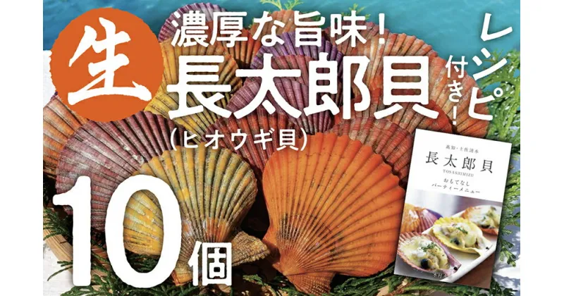 【ふるさと納税】ヒオウギ貝10個セット（ホタテの仲間）長太郎貝 アウトドア キャンプ 海鮮BBQ 魚貝 生 貝殻付 活 貝柱 酒蒸し バーベキュー BBQ 貝 海 ふるさとのうぜい 故郷納税 高知県 土佐清水市 返礼品【R00082】