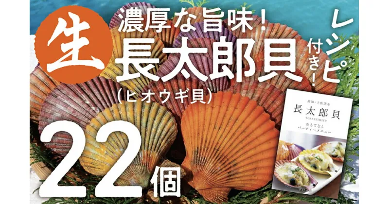 【ふるさと納税】ヒオウギ貝22個セット（ホタテの仲間）長太郎貝 アウトドア キャンプ 海鮮BBQ 魚貝 生 貝殻付 活 貝柱 酒蒸し バーベキュー BBQ 貝 海 ふるさとのうぜい 故郷納税 高知県 土佐清水市 返礼品【R00343】