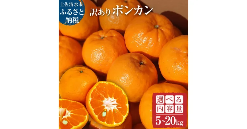 【ふるさと納税】先行予約 訳ありぽんかん5kg～（オレンジ園） 選べる内容量 デコポンの親 ぽんかん ポンカン みかん ミカン 果物 果実 柑橘 フルーツ ポンカン でこぽん おやつ デザート 甘い 美味しい おいしい 家庭用 名物 国産 高知県 高知 土佐清水 故郷納税【R01080】