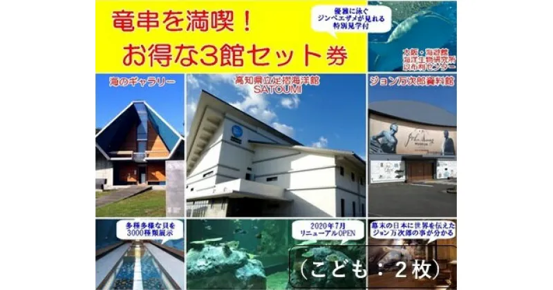 【ふるさと納税】水族館・資料館・展示館 ぐるっと竜串 お得な3館入場券セット（小学生～高校生までの子供2名用）高知県土佐清水市 観光チケット 旅行券 トラベル 観光 高知 旅行 国内旅行 土佐清水市 高知県 高知 旅 観光地 観光プラン 入場券 家族旅行【R00115】