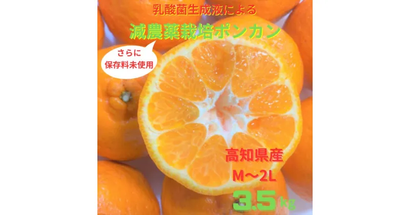 【ふるさと納税】先行予約　＜訳あり＞　ぽんかん 3.5kg 高糖度 みかん 柑橘 高知県 高知 土佐清水 甘い ジューシー 完熟 フルーツ 果物 ポンカン ビタミンC 旬 M～2Lサイズ 減農薬 乳酸菌生成液 産直 季節限定 家庭用 ふるさとのうぜい 返礼品【R00890】