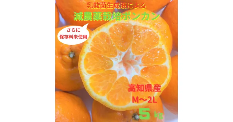 【ふるさと納税】先行予約　＜訳あり＞ぽんかん 5kg 高糖度 みかん 柑橘 高知県 高知 土佐清水 甘い ジューシー 完熟 フルーツ 果物 ビタミンC 旬 M～2Lサイズ 減農薬 美味しい 産直 季節限定 家庭用 自宅用 訳アリ 高知県 高知 土佐清水市 返礼品 【R00891】