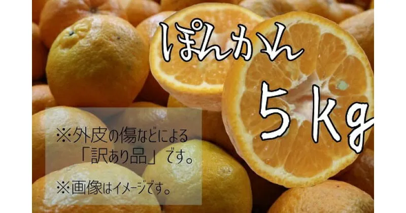 【ふるさと納税】先行予約 ＜訳あり＞早川農園のぽんかん（5kg）デコポンの親 みかん 柑橘 フルーツ 果実 果物 くだもの デザート ジュース 5キロ 5kg 訳アリ わけあり ワケアリ 高知県 土佐清水市 送料無料 ギフト ふるさとのうぜい 故郷納税 返礼品【R00101】