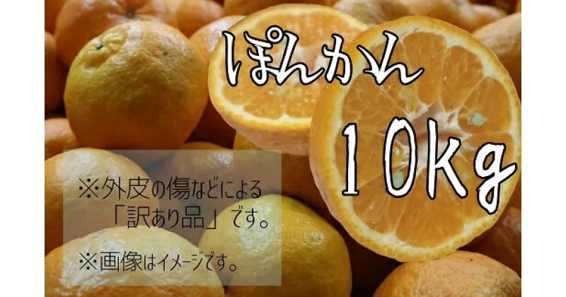 【ふるさと納税】先行予約 ＜訳あり＞早川農園のぽんかん（10kg）デコポンの親 みかん ミカン 果物 果実 柑橘 ポンカン フルーツ おやつ デザート 甘い おいしい 美味しい 健康 ワケアリ 家庭用 ご自宅用 高知県 高知 土佐清水 故郷納税 ふるさとのうぜい 返礼品【R00356】