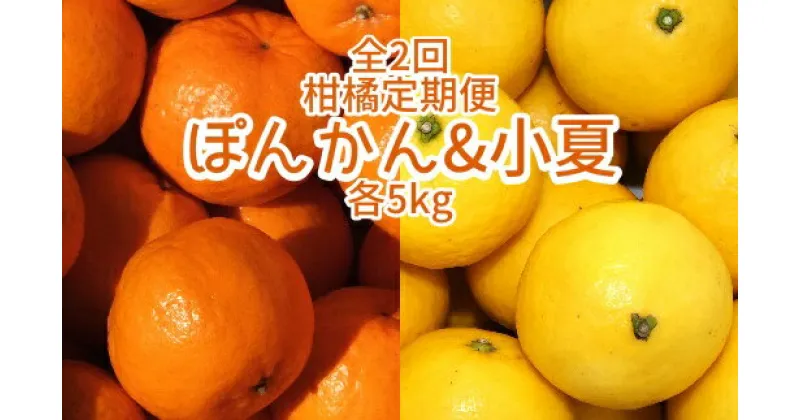 【ふるさと納税】先行予約 全2回定期便 特産柑橘フルーツ各5kg（ぽんかん＆小夏 ）5キロ みかん ミカン 果物 果実 果肉 デコポンの親 日向夏 おやつ デザート 甘い 美味しい おいしい 国産 ギフト 贈答 高知県 高知 土佐清水市 故郷納税 ふるさとのうぜい 返礼品【J00005】