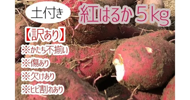 【ふるさと納税】先行予約【訳あり】サツマイモ（紅はるか）5kg　農薬化学肥料不使用（土付き）【R00104】