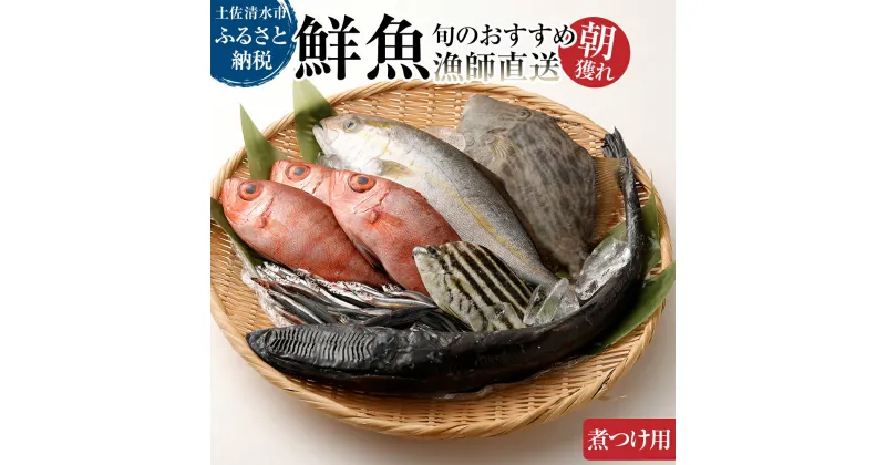 【ふるさと納税】旬の朝獲れ鮮魚（煮つけ用）漁師おすすめセット【以布利定置網　漁師直送】朝獲れ 鮮魚ボックス 旬 煮付 煮魚 鮮魚 魚介 海鮮 魚 さかな せんぎょ 鮮魚セット 詰め合わせ おまかせ お任せ 故郷納税 高知県 土佐清水市 送料無料 高知【S00820】