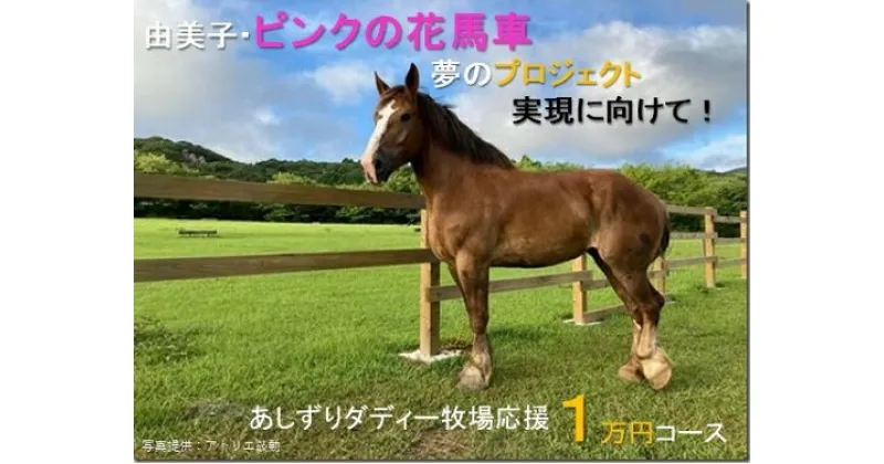 【ふるさと納税】由美子・ピンクの花馬車夢のプロジェクト実現に向けて！あしずりダディー牧場応援（1万円コース）クラウンドファンディング クラファン 馬主 競馬 動物 10000円 1万円【R00341】