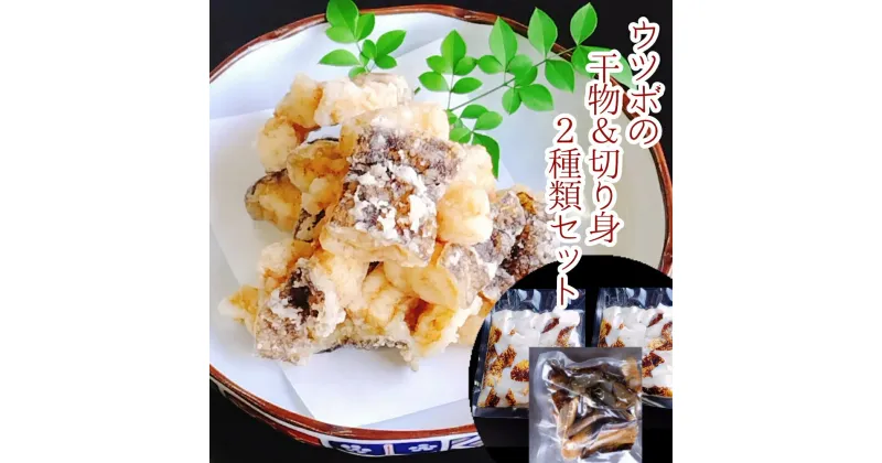 【ふるさと納税】からあげ用ウツボ2種類セット カット干物（100g）＆切り身生（200g×2P）天ぷら 南蛮 フライ 冷凍惣菜 うつぼの唐揚げ 唐揚げ 天ぷら 切り身 ウツボ うつぼ 高知県 名物 美味しい おいしい ふるさとのうぜい 故郷納税 土佐清水市 返礼品【R00363】