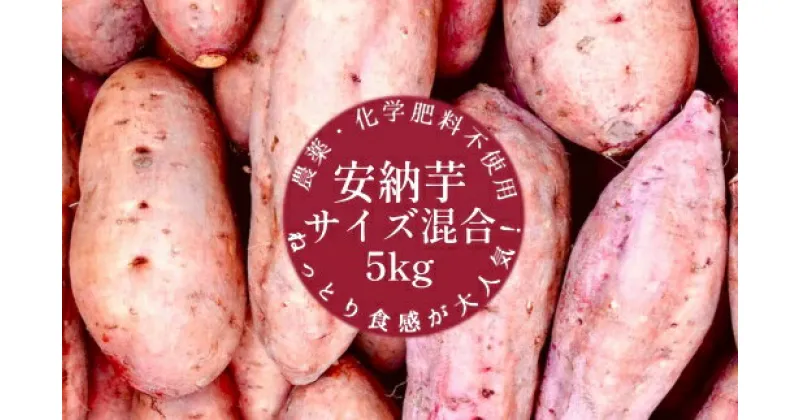 【ふるさと納税】先行予約 12月上旬～ サツマイモ（安納芋）5kg 栽培期間中 農薬化学肥料不使用（洗い）【R00228】