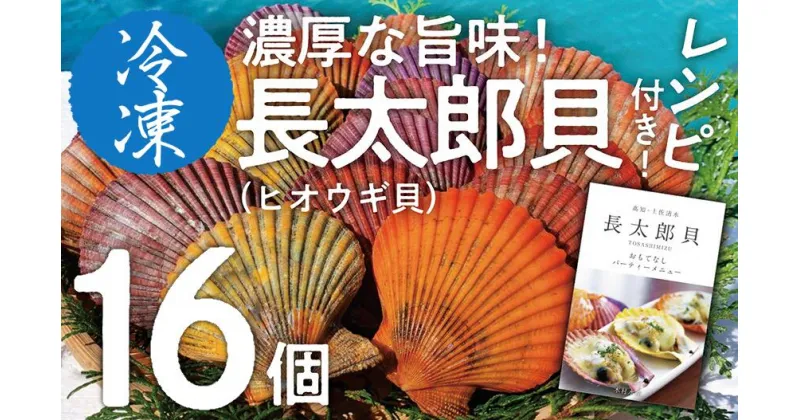 【ふるさと納税】黒潮の恵 冷凍 ヒオウギ貝16個セット（ホタテの仲間）長太郎貝 アウトドア キャンプ バーベキュー 魚貝 殻付 貝柱 酒蒸し 真空パック 10000円 1万円 BBQ 貝 海 ふるさとのうぜい 故郷納税 高知県 土佐清水市 返礼品【R00803】