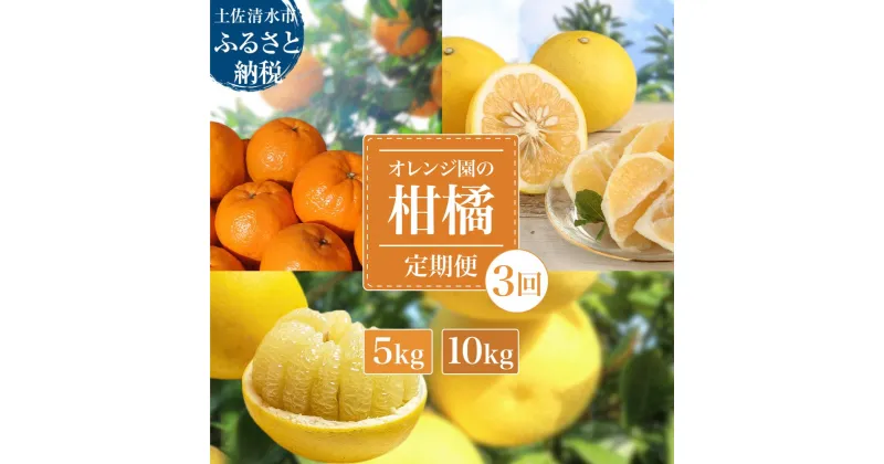 【ふるさと納税】先行予約 オレンジ園の柑橘3種（ぽんかん・文旦・小夏）各5kg 各10kg 3回定期便 ポンカン ぶんたん こなつ 果物 蜜柑 みかん ミカン 柑橘 フルーツ デザート 国産 常温 配送 高知県 高知 土佐清水 故郷納税 ふるさとのうぜい 返礼品 【J00104】