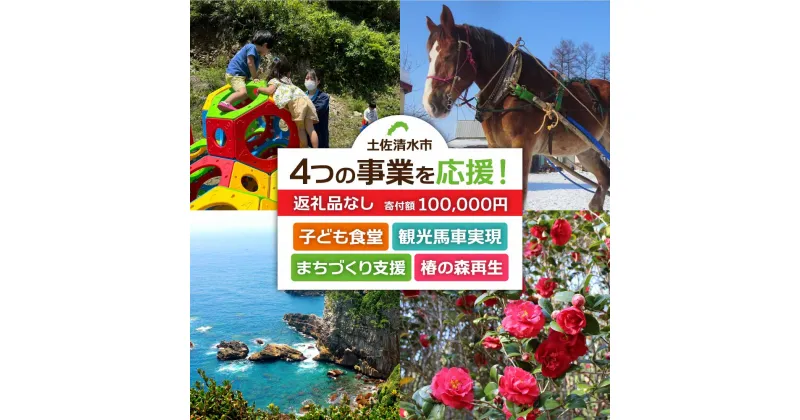 【ふるさと納税】一括寄附で4つの事業を応援！返礼品なし 100,000円（子ども食堂・観光馬車実現・椿の森再生・まちづくり支援）10万円 子供 子育て 福祉 動物保護 自然保護 環境整備 教育 自然 高知県 高知 土佐清水 故郷納税 ふるさとのうぜい 返礼品【R01226】