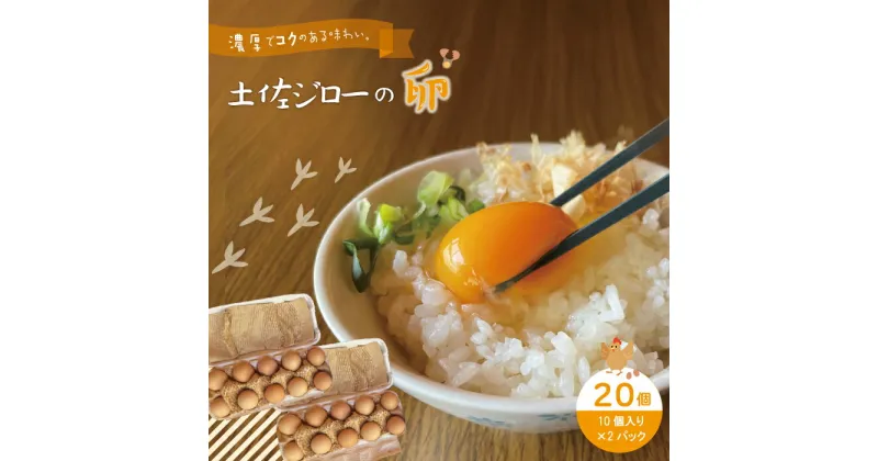 【ふるさと納税】R5-1010．濃厚でコクのある味わい！のびのび育った土佐ジローの自然卵20個（10個入り×2パック） 卵 玉子 たまご 鶏卵 土佐ジローの卵 土佐ジロー 自然卵 新鮮 旨味 濃厚 コク おいしい 自慢 こだわり卵 高知 高知県 四万十市 産地直送 送料無料