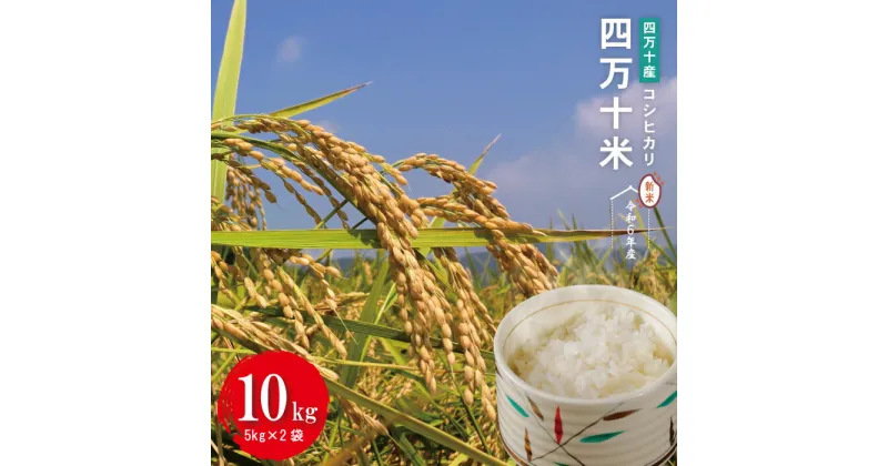 【ふるさと納税】24-945．【 令和6年産 新米 】 四万十産 四万十米 コシヒカリ 10kg (5kg×2袋) 国産 こしひかり 令和6年 2024年 精米 白米 米 おこめ ご飯 ごはん 米どころ おいしい 高知 四万十 しまんと お取り寄せ 送料無料 募金 四万十川 農協 JA