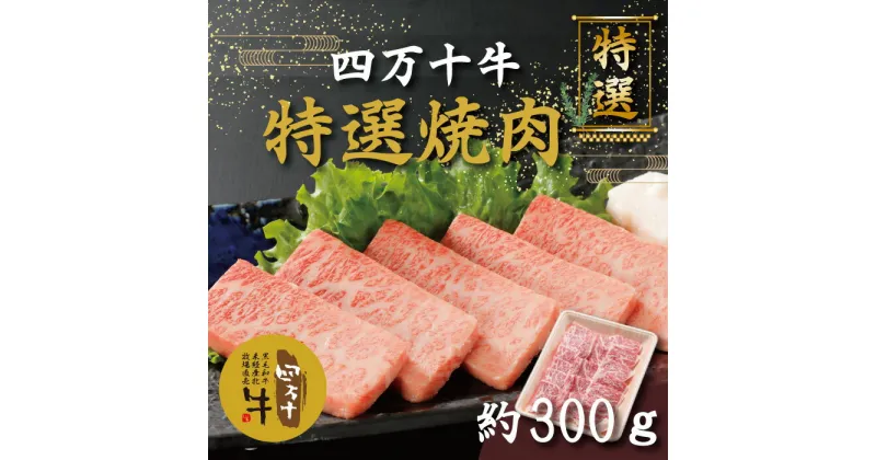 【ふるさと納税】R5-976．幻のメス牛 四万十牛特選焼肉（約300g） 国産 高知 しまんと 四万十 四万十牛 メス牛 お取り寄せ 牧場直売 肉 牛肉 黒毛和牛 ご褒美 焼肉 リブロース 肩ロース バーベキュー BBQ